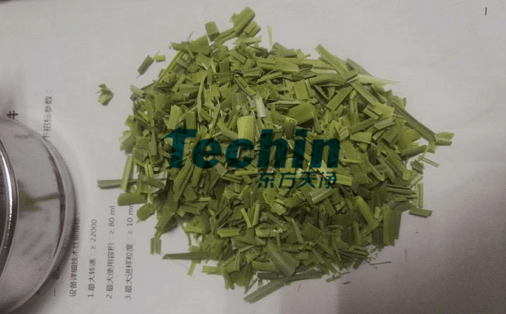 水稻葉子午夜成人福利视频前