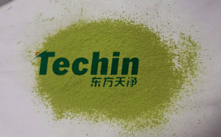午夜成人福利视频後的植物葉片