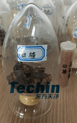山楂午夜成人福利视频前後
